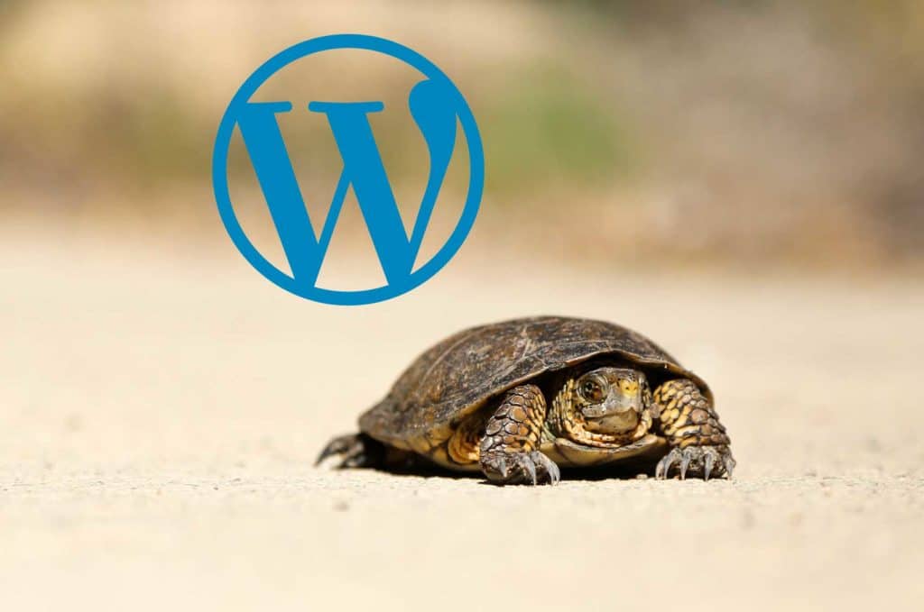 How to speed up your Wordpress site